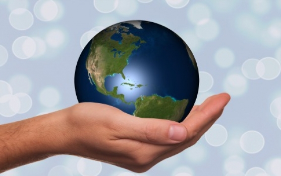 Translation Projects / Tomedes Translation Projects / Tomedes